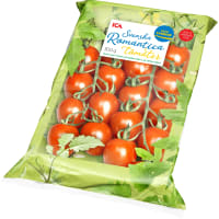 Illustration av Romanticatomater i ask